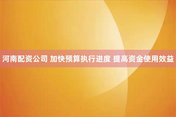 河南配资公司 加快预算执行进度 提高资金使用效益